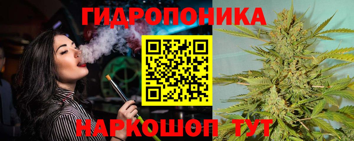 Бошки Шишки VHQ  Вход с VPN  Каннабис сатива  Каннабис план  Невинномысск 